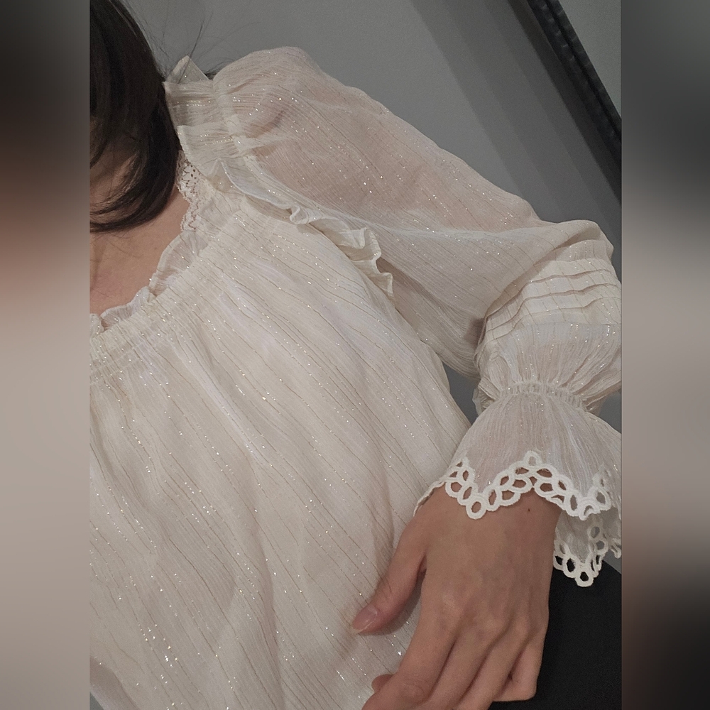 NWT Rebecca Taylor Lace Glitter Blouse